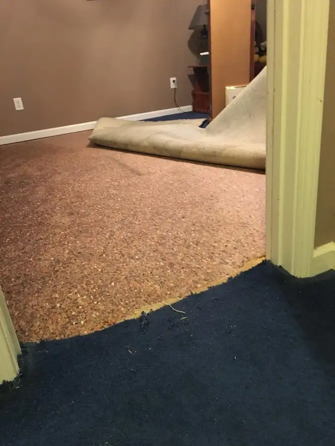 Carpet pad removal revealing water damage during Water Mitigation Services in Eloy