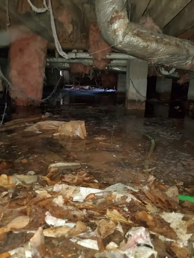 Crawl space flood assessment for Leak Detection & Repair in Eloy